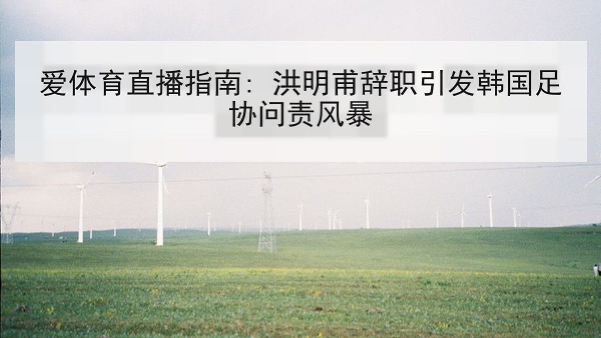 爱体育直播指南: 洪明甫辞职引发韩国足协问责风暴 爱体育直播指南: 洪明甫辞职引发韩国足协问责风暴