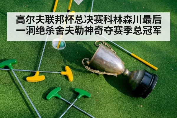 高尔夫联邦杯总决赛科林森川最后一洞绝杀舍夫勒神奇夺赛季总冠军